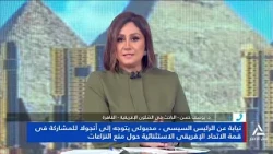 د.يوسف حسن : تشهد القارة الإفريقية صراعات وأزمات ومصر حريصة على تسويتها عبر مجلس السلم الذى تستضيفه
