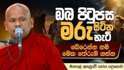 ඔබ පිටුපස මරු සිටින හැටි  | Ven. Welimada Saddaseela Thero