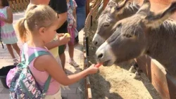 Drugi tjedan ljetne škole osječkog ZOO vrta započeo u Slavonskom selu