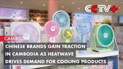 Chinese Brands Gain Traction in Cambodia as Heatwave Drives Demand for Cooling Products
