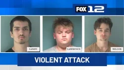 3 men sentenced for violent attack, attempted robbery of man in West Salem park