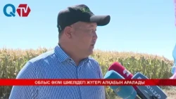 ОБЛЫС ӘКІМІ ШИЕЛІДЕГІ ЖҮГЕРІ АЛҚАБЫН АРАЛАДЫ