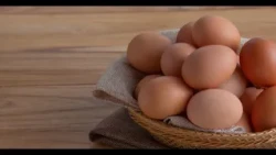 Debunking myths about eggs