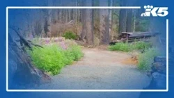 Olympic National Park area reopens 1 year after Bear Gulch Fire