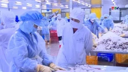Thanh Hoa Leads in Effective FTA Implementation to Boost Exports