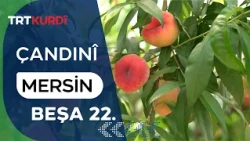 Çandinî - Beşa 22.