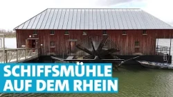Einmalige historische Schiffsmühle in Ginsheim: Mehl mahlen auf dem Rhein