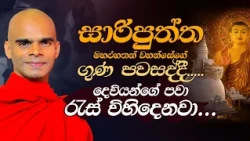 සාරිපුත්ත මහරහතන් වහන්සේගේ ගුණ පවසද්දී.....දෙවියන්ගේ පවා රැස් විහිදෙනවා...
