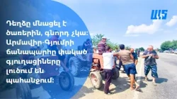 Դեղձը մնացել է ծառերին գնորդ չկա։ Արմավիր-Գյումրի ճանապարհը փակած գյուղացիները լուծում են պահանջում։