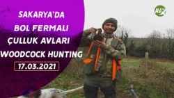 WOODCOCK HUNTING  TEAM NERAS SAKARYA ÇULLUK AVLARI