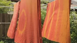 Natural Dye Artisan | Colors of My Hometown