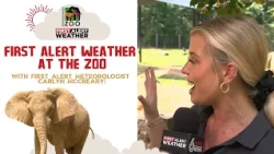 First Alert Weather at the Zoo: Elephant Day at Birmingham Zoo