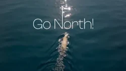 Go North! Season 1 Trailer