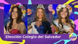 Elección Colegio del Salvador - FNE 2026