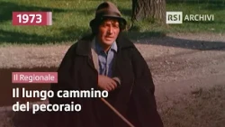 The Shepherd (1973) | Il Regionale | RSI