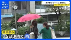 Central Tokyo: "16 Days of Consecutive Rain," "Record-Lowest Sunlight Hours," and "Late October-L...