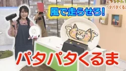 Let's Play with Ko-chan! Flap-Flap Car!