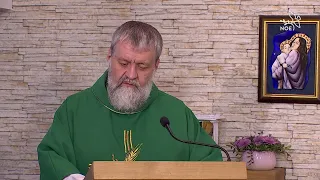 Homilie ze mše svaté 28.6.2026, P. Vladimír Ziffer