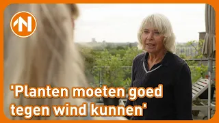 Hoe tuinier je op twaalf hoog? | Mien Toentje
