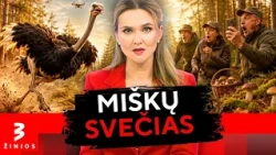 Grybautojai Dzūkijos miške negalėjo patikėti savo akimis: neįtikėtina istorijos atomazga