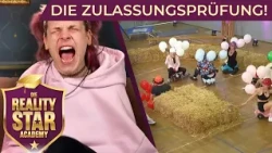 DREI KANDIDATEN - EIN PLATZ! Wer schafft es ins Grand Finale? | Die REALITY STAR Academy | Prosieben