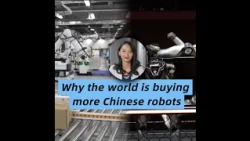 Why the world is buying more Chinese robots