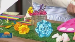New Day Cleveland: Kids Summer Survival with Kris Renee