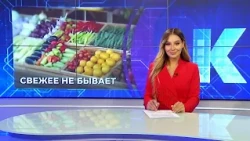 Kaliningrad News — Daily Roundup, August 28, 2026 Kaskad TV