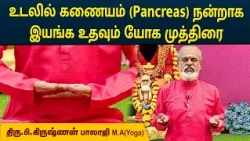 உடலில் கணையம் ( Pancreas ) நன்றாக இயங்க உதவும் யோக முத்திரை | Krishnan Balaji | MEGA TV