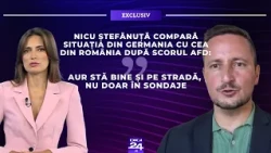 Nicu Ștefănuță compară situația din Germania cu cea din România după scorul AfD
