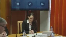Senatul României: Protejarea dreptului comunităţii româneşti din Ucraina la educaţie în limba română