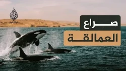باتاغونيا.. الحياة عند حافة العالم - الساحل الصحراوي