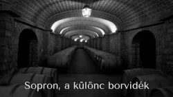 A soproni borospincék