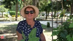 "Cvijeće volim od kada sam djevojčica bila. Nastavila sam se time baviti i kad sam se udala"