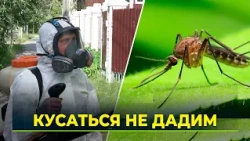 Total mosquito and midge extermination underway in Salekhard
