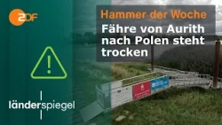 Fähre von Aurith nach Polen steht trocken | Hammer der Woche vom 12.09.2026 | ZDF #hammer #zdf