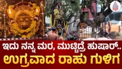 Mangaluru | ಇದು ನನ್ನ ಮರ, ಮುಟ್ಟಿದ್ರೆ ಹುಷಾರ್! ಹೆದ್ದಾರಿ ಇಲಾಖೆ ವಿರುದ್ಧ ರಾಹು ಗುಳಿಗ ದೈವದ ಎಚ್ಚರಿಕೆ