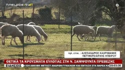 ΘΕΤΙΚΑ ΤΑ ΚΡΟΥΣΜΑΤΑ ΕΥΛΟΓΙΑΣ ΣΤΗ Ν.  ΣΑΜΨΟΥΝΤΑ ΠΡΕΒΕΖΗΣ