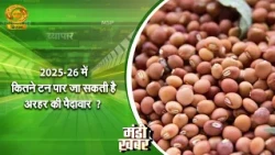 Mandi Khabar: How many tons can Tur production exceed in 2025-26? | DD Kisan | 08/10/2026