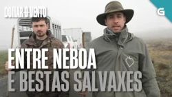 Entre NÉBOA e BESTAS SALVAXES: unha XORNADA DURA en GOIRIZ | DOMAR O VENTO