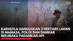 Karhutla Hanguskan 5 Hektare Lahan di Mamasa, Polisi dan Damkar Berjibaku Padamkan Api | IDXC UPDATE