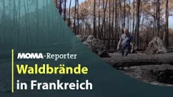 „Ruinen und es ist noch nicht vorbei“, ARD-Korrespondent in Frankreich über die Waldbrände