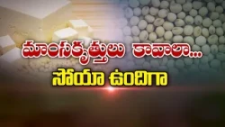 మాంసకృత్తులు కావాలా... సోయా ఉందిగా | Need protein? Soya is here for you | Sukhibhava | ETV Life