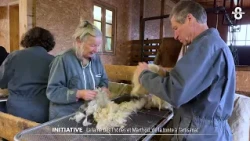 Thônes et Marthod wool: from shearing to craftsmanship