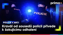 Rušení nočního klidu | Policie v akci
