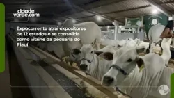 Expocorrente attracts exhibitors from 12 states and cements its status as a showcase for Piauí's ...