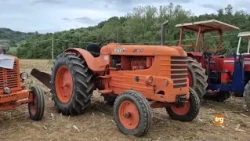 Vintage tractors return to Città di Castello
