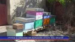 SHARING STRATEGIES TO ENCOURAGE BEEKEEPING ACTIVITIES