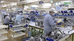 NBS "Breaking News! BIZ-NAGA" Kashiyama Industry