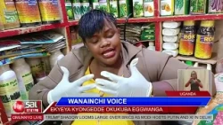 WANAINCHI VOICE; Ekyeya kyongedde okukuba eggwanga | Omunnyo Live